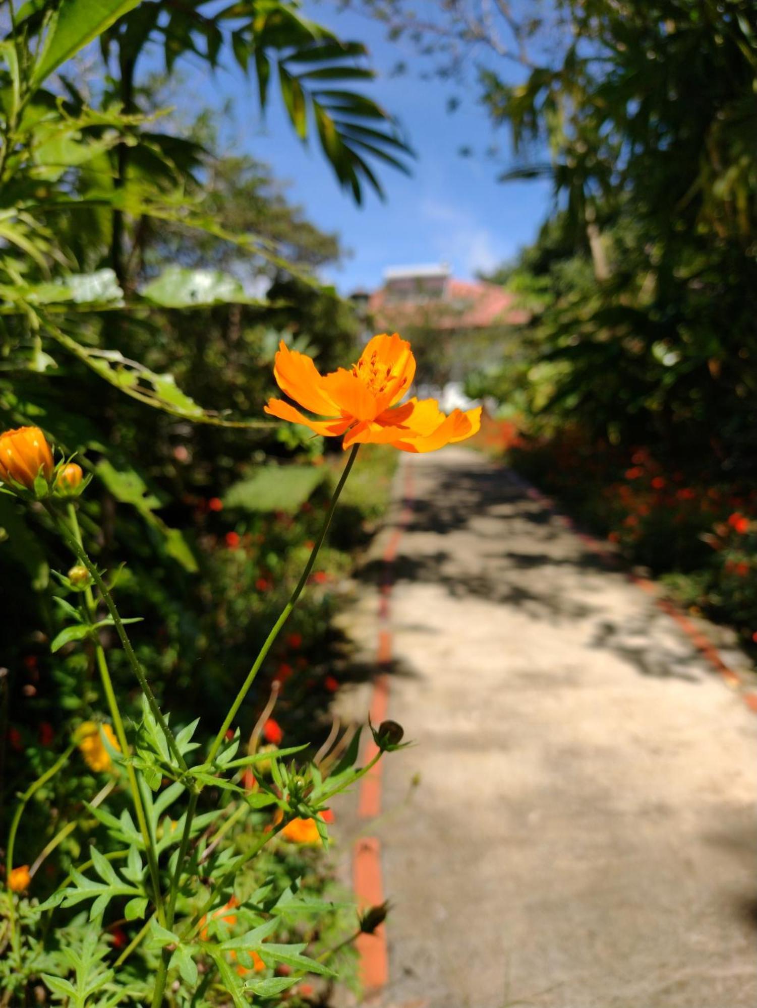 Hotel Claro De Luna Monteverde Ngoại thất bức ảnh