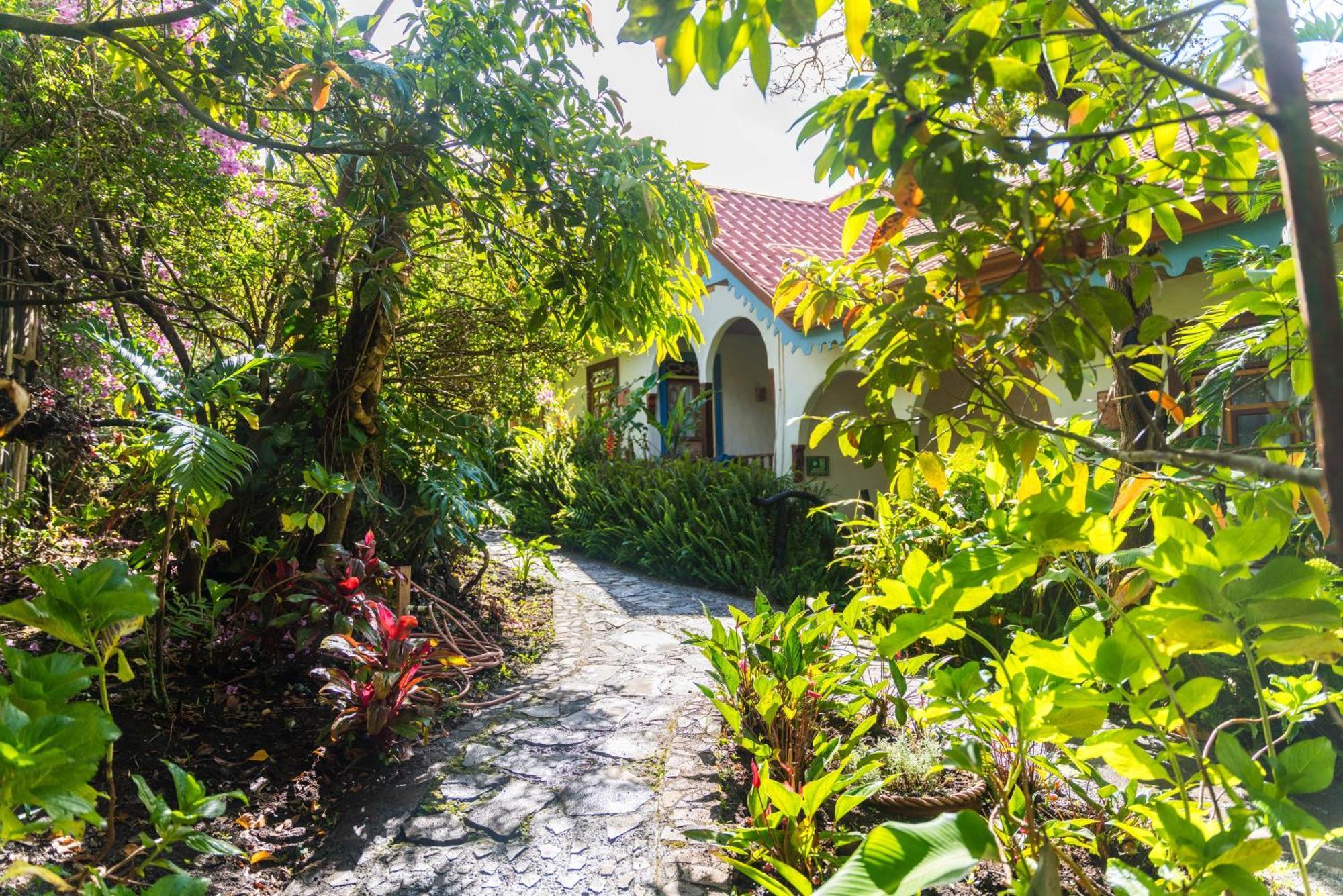 Hotel Claro De Luna Monteverde Ngoại thất bức ảnh