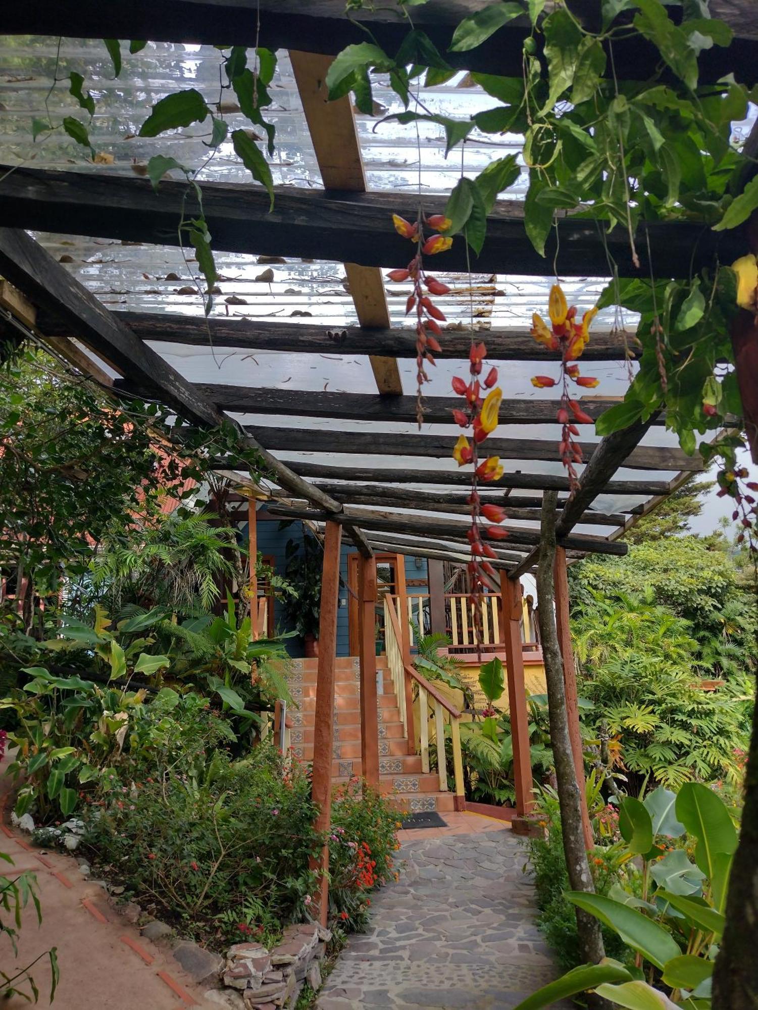 Hotel Claro De Luna Monteverde Ngoại thất bức ảnh