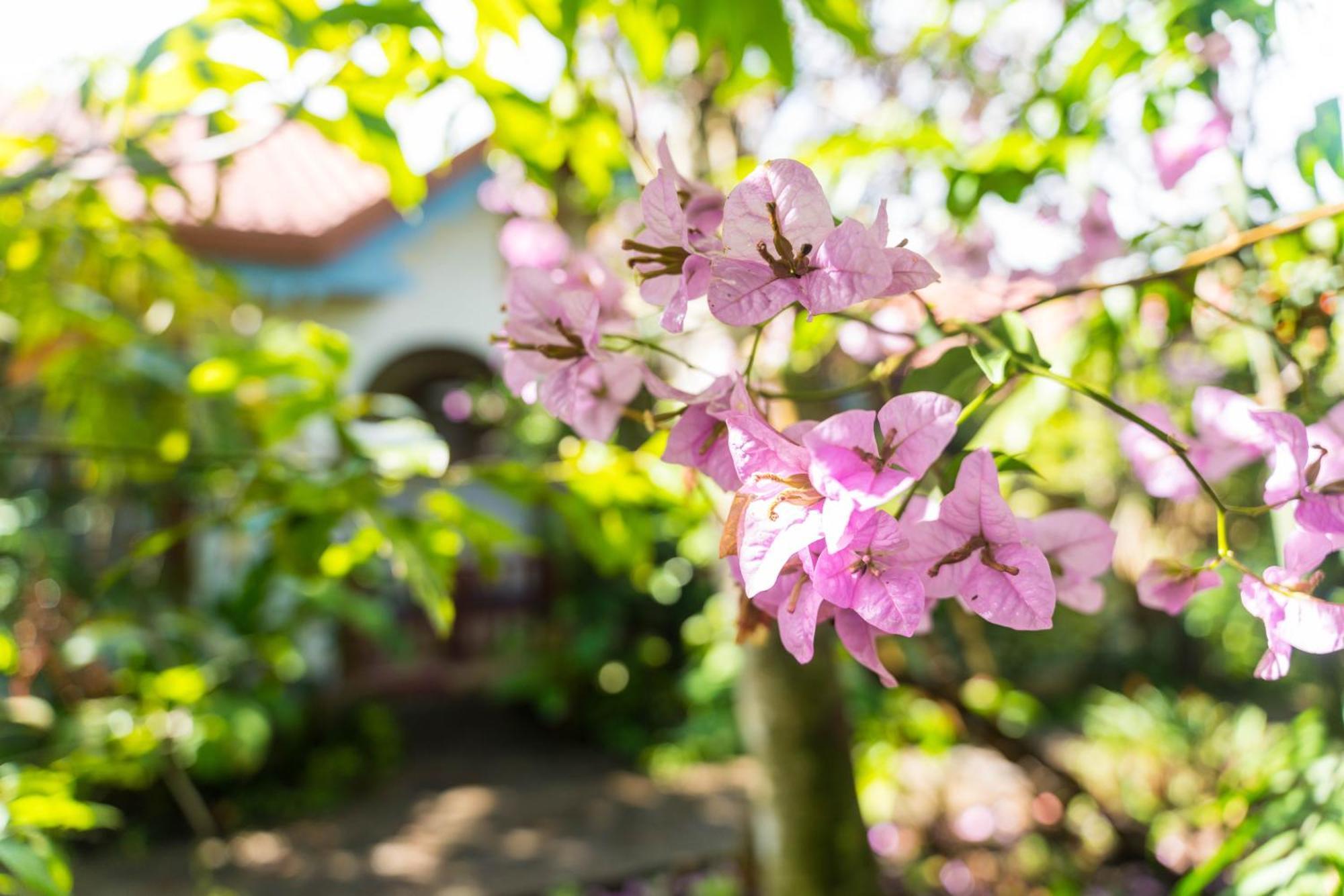 Hotel Claro De Luna Monteverde Ngoại thất bức ảnh