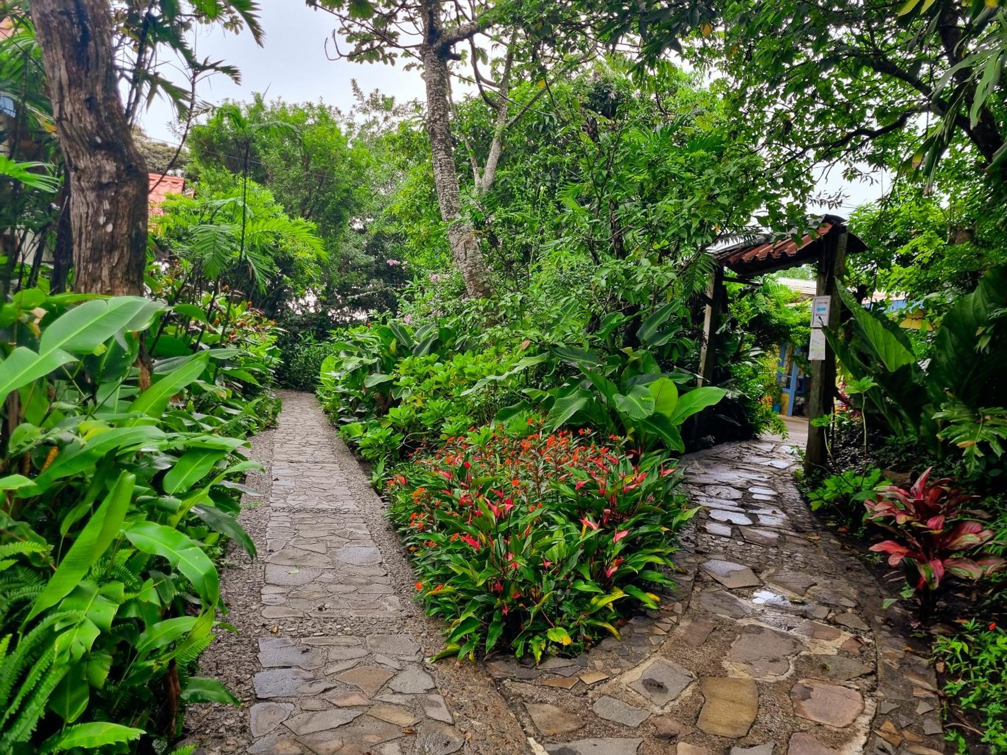 Hotel Claro De Luna Monteverde Ngoại thất bức ảnh