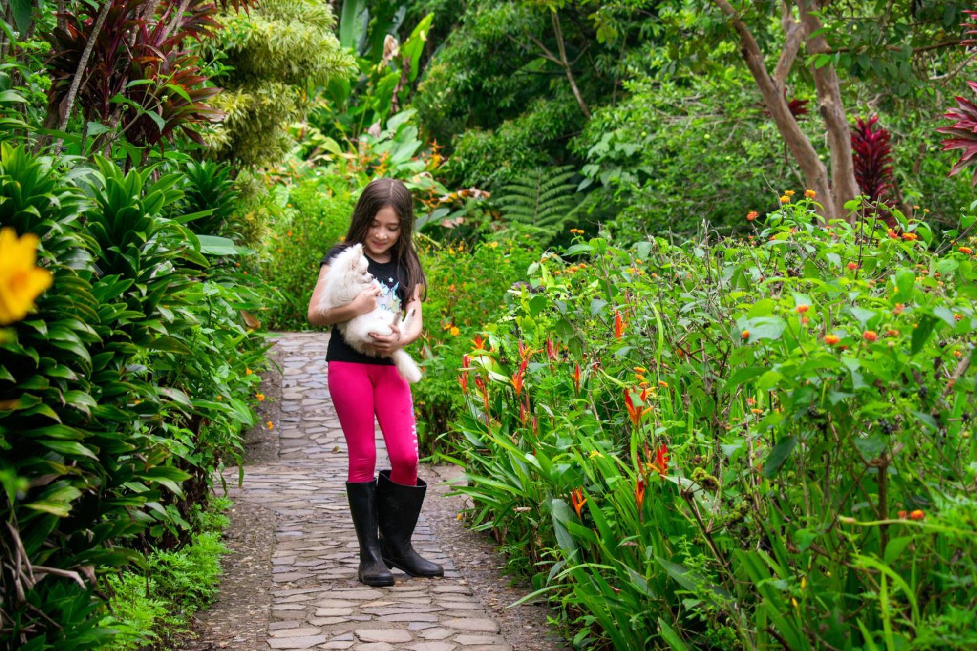 Hotel Claro De Luna Monteverde Ngoại thất bức ảnh