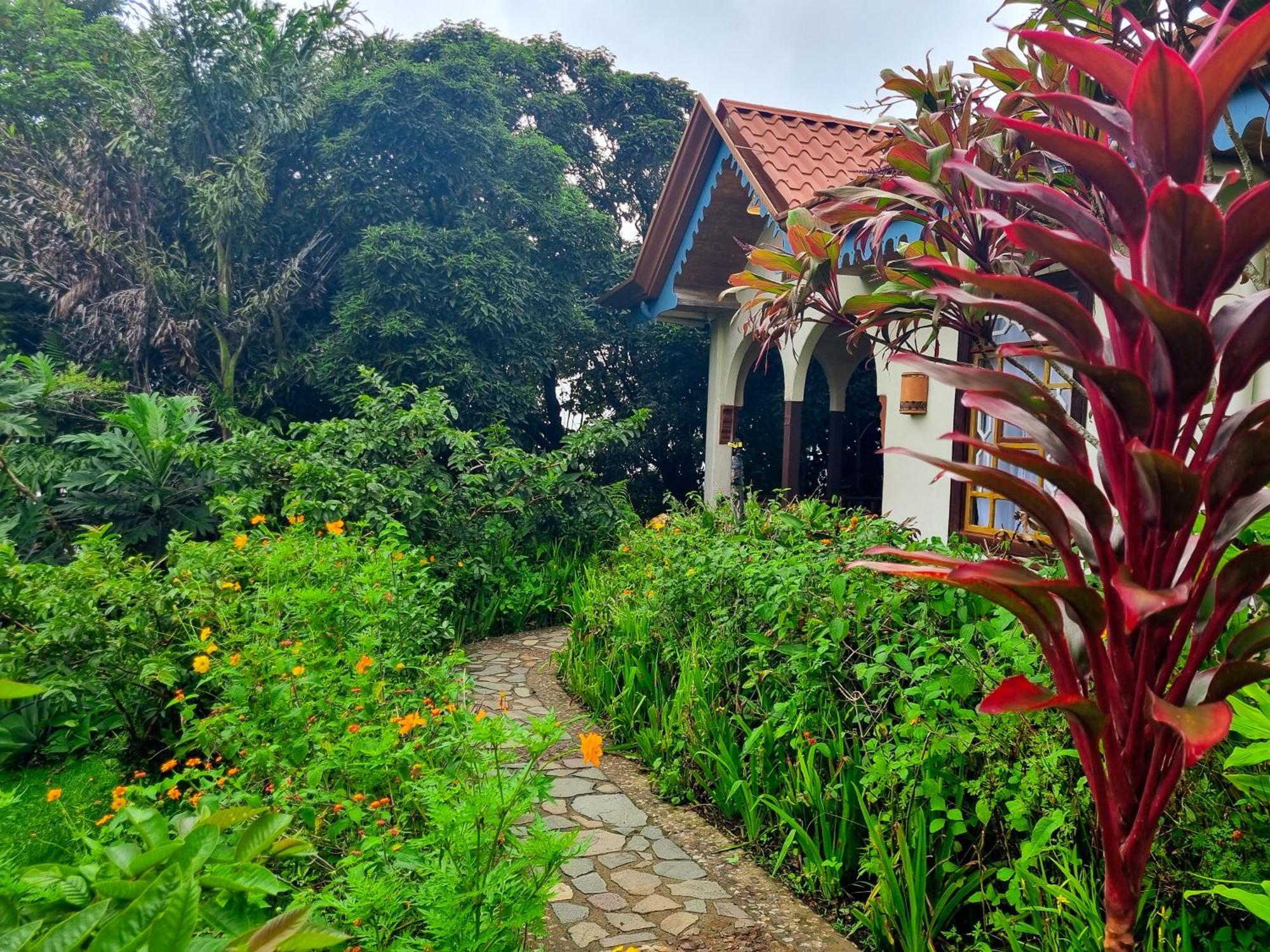 Hotel Claro De Luna Monteverde Ngoại thất bức ảnh